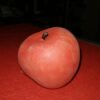 Zumo de manzana mágico, de Mágic Látex - Imagen 3