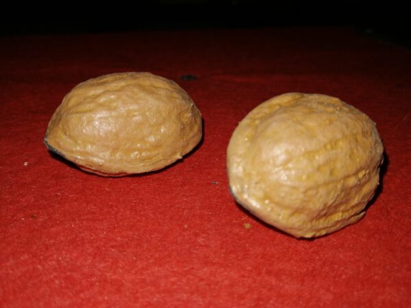 Nueces de látex (1 con imán), de Mágic Látex - Imagen 3