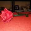 Antorcha a rosa (Profesional) - Imagen 2