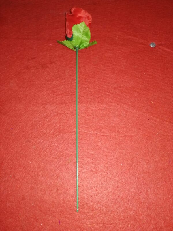 Antorcha a rosa (Normal - manual) - Imagen 5