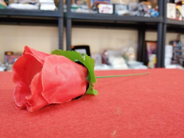 Antorcha a rosa (Normal - manual) - Imagen 4