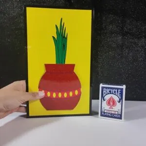 Bouquet desde florero 3D Mr. Magic