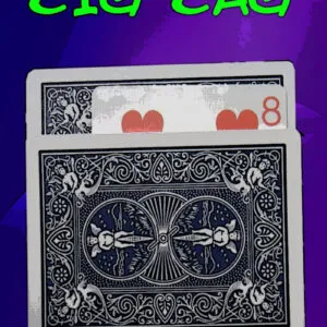 Carta zig zag Bicycle