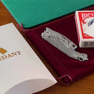 Pendant, de Yuji Enei (Carta en el collar)