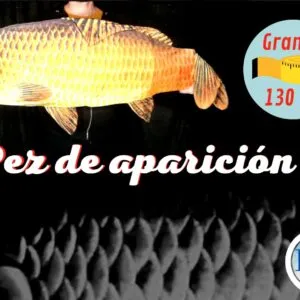 Pez aparición - Gigante 130 cm