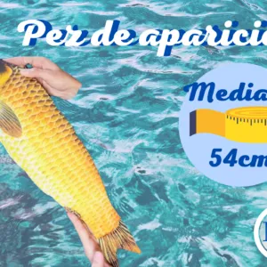 Pez aparición - Mediano 54 cm