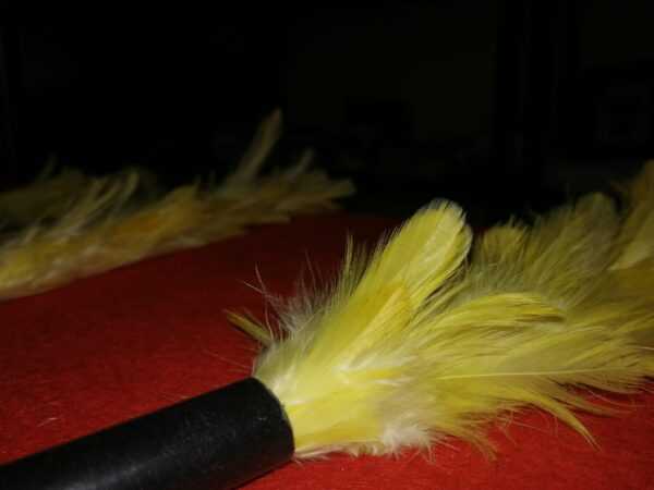 Cambio de color plumeros Ultra rápidos - Ultra feather, de Uday - Imagen 3