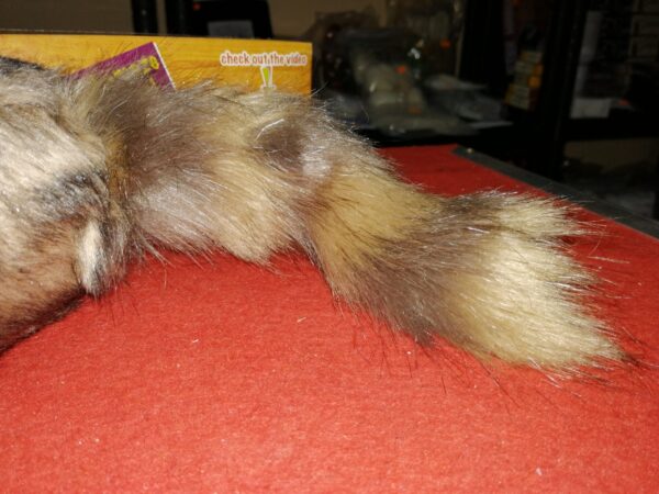 Raccoon piel sintética VDF - Imagen 5