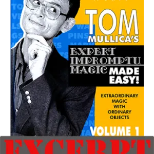 Excerpt of Stars Of Magic #8 (David Roth)