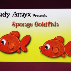 Peces esponja 4 unid, Andy Amyx