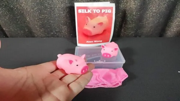 Pañuelo a cerdo Alan Wong