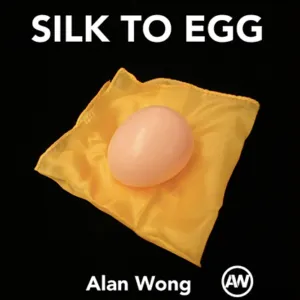 Pañuelo a huevo marrón Alan Wong