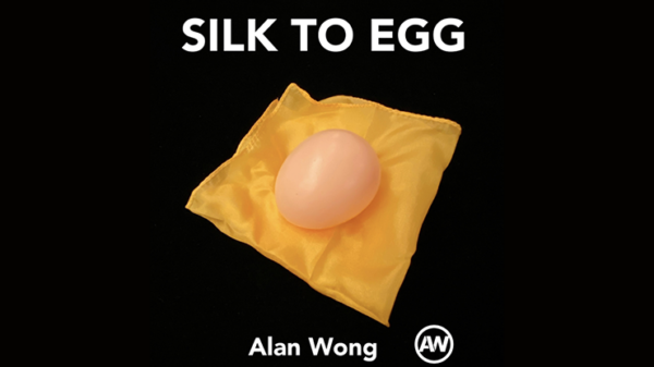 Pañuelo a huevo marrón Alan Wong
