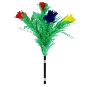 Plumero a bouquet