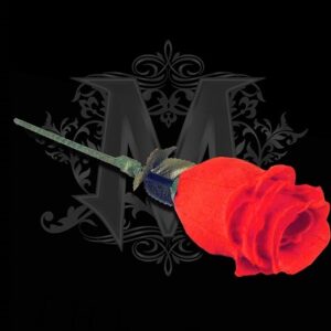 The Rose by Bond Lee & Wenzi Magic