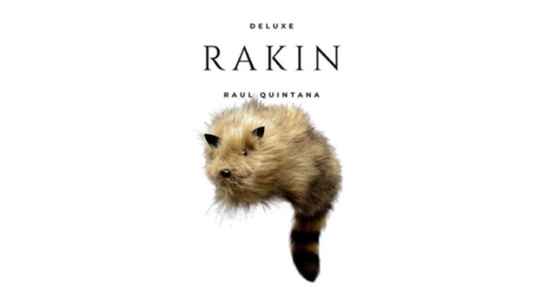 RAKIN, el raccoon deluxe, por Raúl Quintana