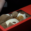 Magic box, de Twister Magic