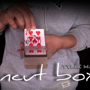 UNCUT BOX by Tybbe Master