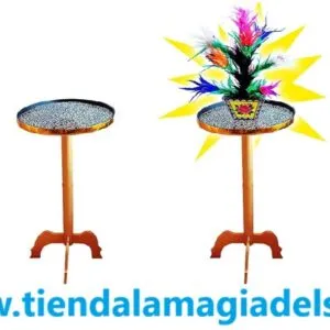 Maceta que desaparece en mesa