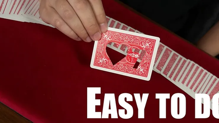 Hollow de Bond Lee, Stefanus Alexander y MS Magic