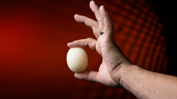 HUEVOS DE ESPONJA DE MURPHYS MAGIC