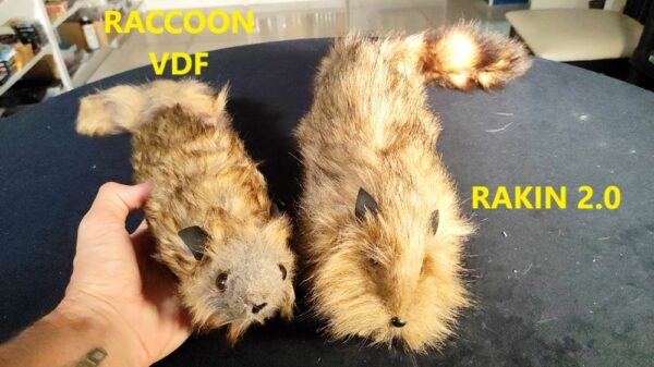 Raccon VDF VS Rakin 2.0