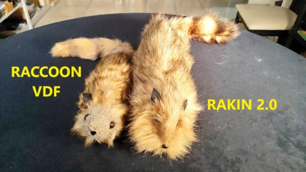 Raccon VDF VS Rakin 2.0