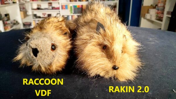Raccon VDF VS Rakin 2.0