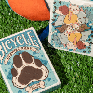 Bicycle Playful Dog