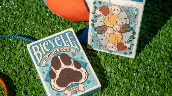 Bicycle Playful Dog
