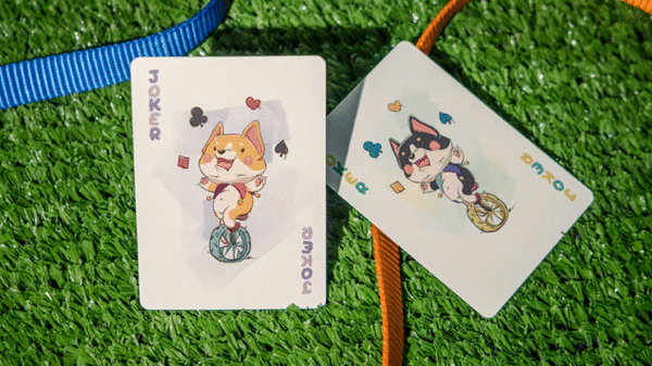 Bicycle Playful Dog