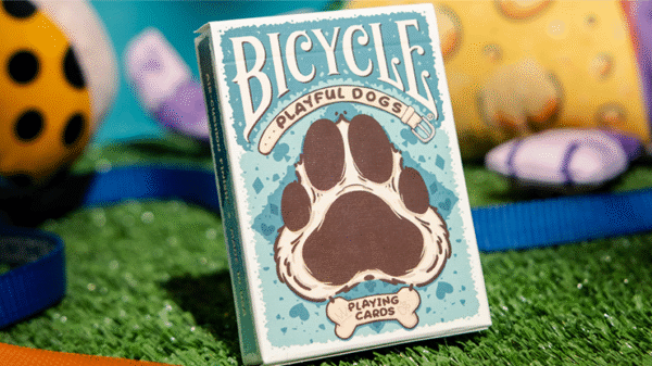 Bicycle Playful Dog