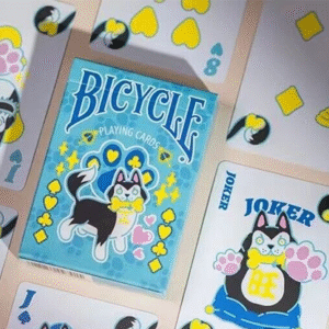 Bicycle dog blue