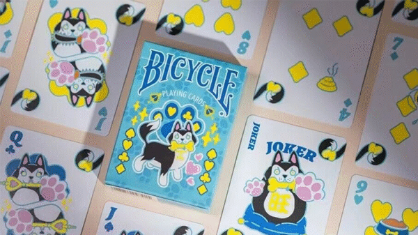 Bicycle dog blue