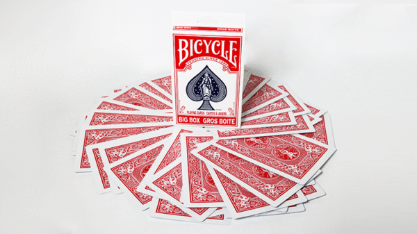 Bicycle jumbo ESP