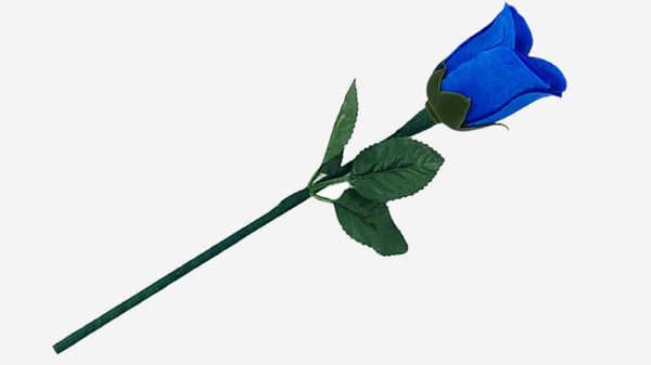 Rosa que nace (rutina completa) Reborn Rose de JL Magic