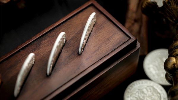 The Oddest Coin de David Penn & TCC Magic
