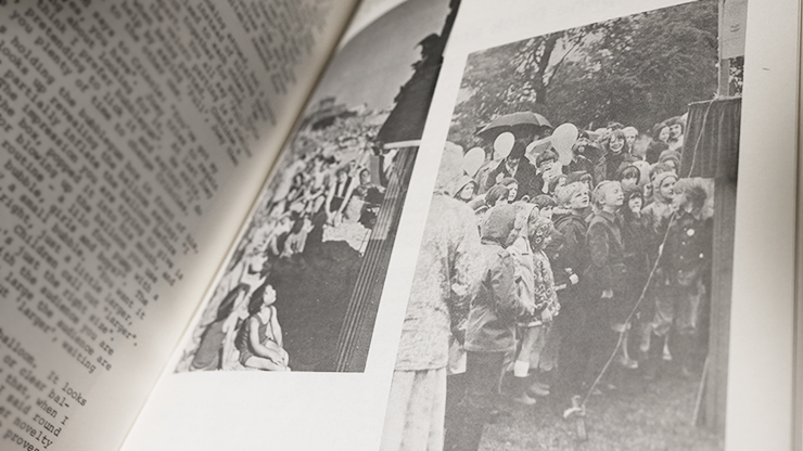 Puppets with Punch by Tony Green