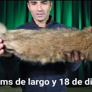 Rakin Jumbo de Raúl Quintana