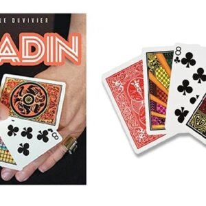 Alladin, de Dominique Duvivier