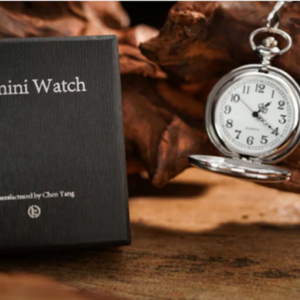 Reloj Gemini Watch de TCC