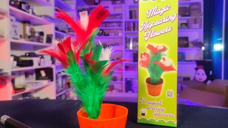 Aparición de flor desde varita (2026) - Imagen 3