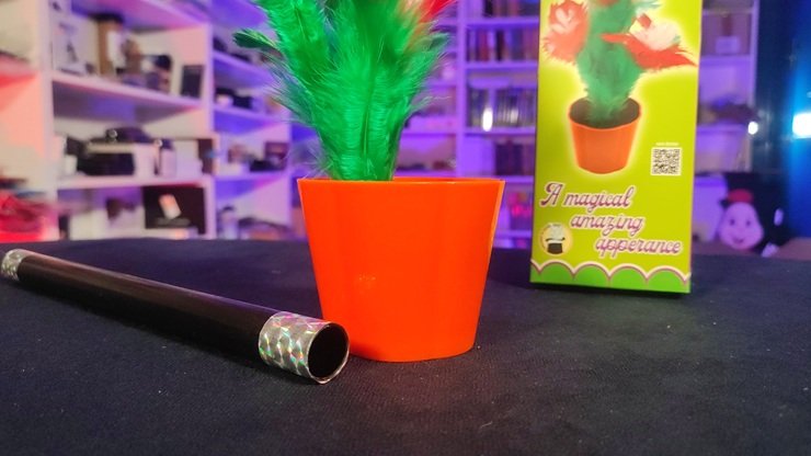 Aparición de flor desde varita (2026) - Imagen 4