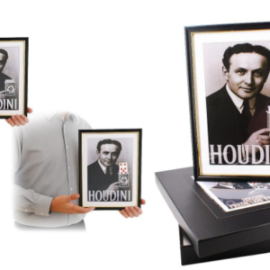 Marco Houdini doble predicción