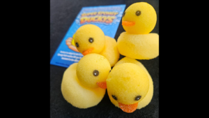 Patos de esponja