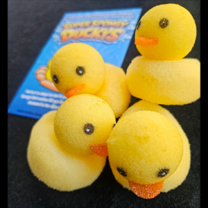 Patos de esponja