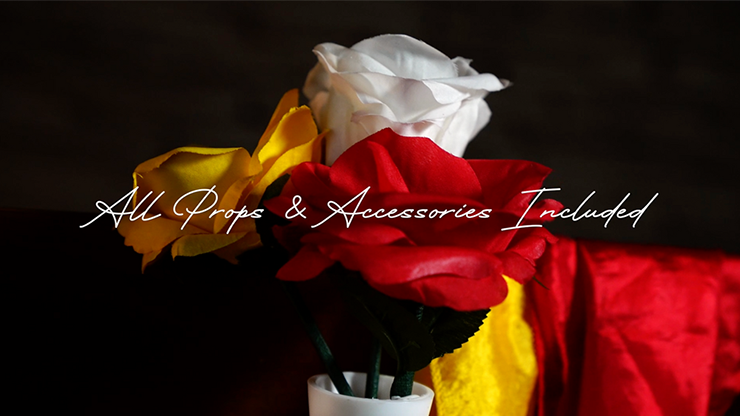Dream Rainbow de Leon King y MS Magic (Rutina con rosas) - Imagen 6