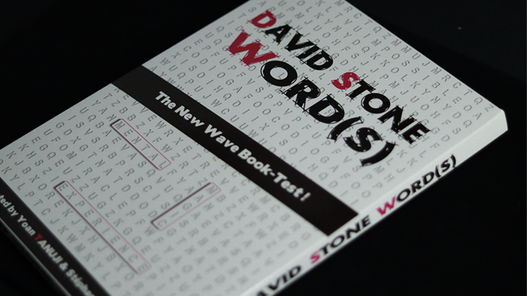 Test de libro David Stones Words (Spanish Version)