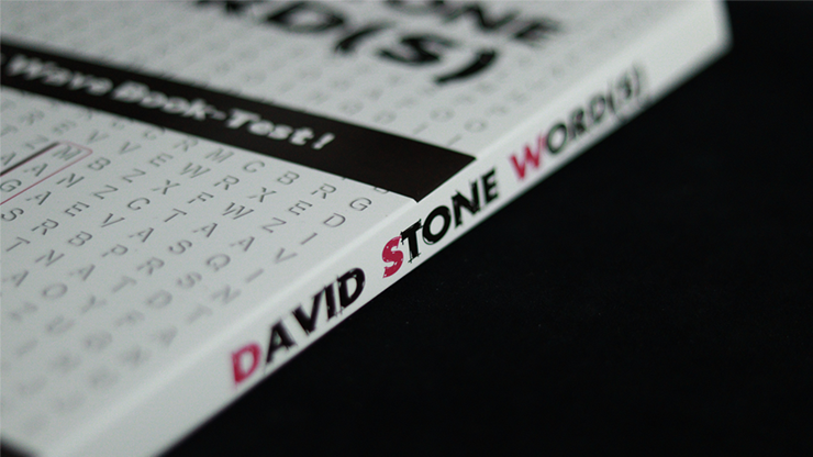 Test de libro David Stones Words (Spanish Version)