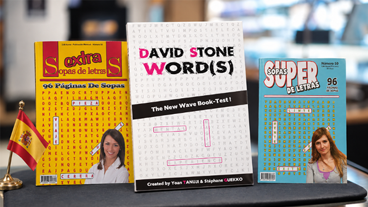 Test de libro David Stones Words (Spanish Version) (7)